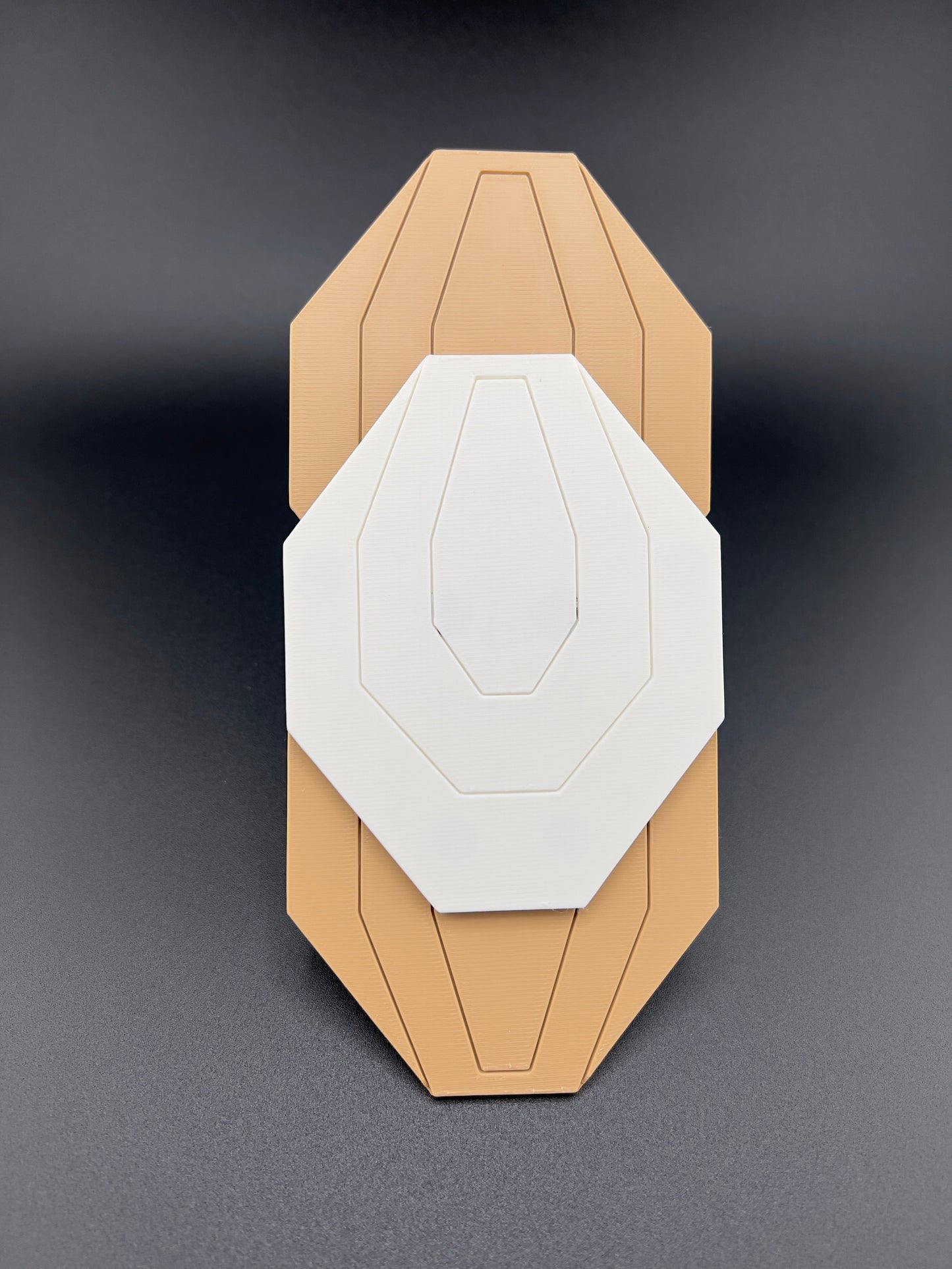 Target Focused IPSC magnetic Dry Fire Kit