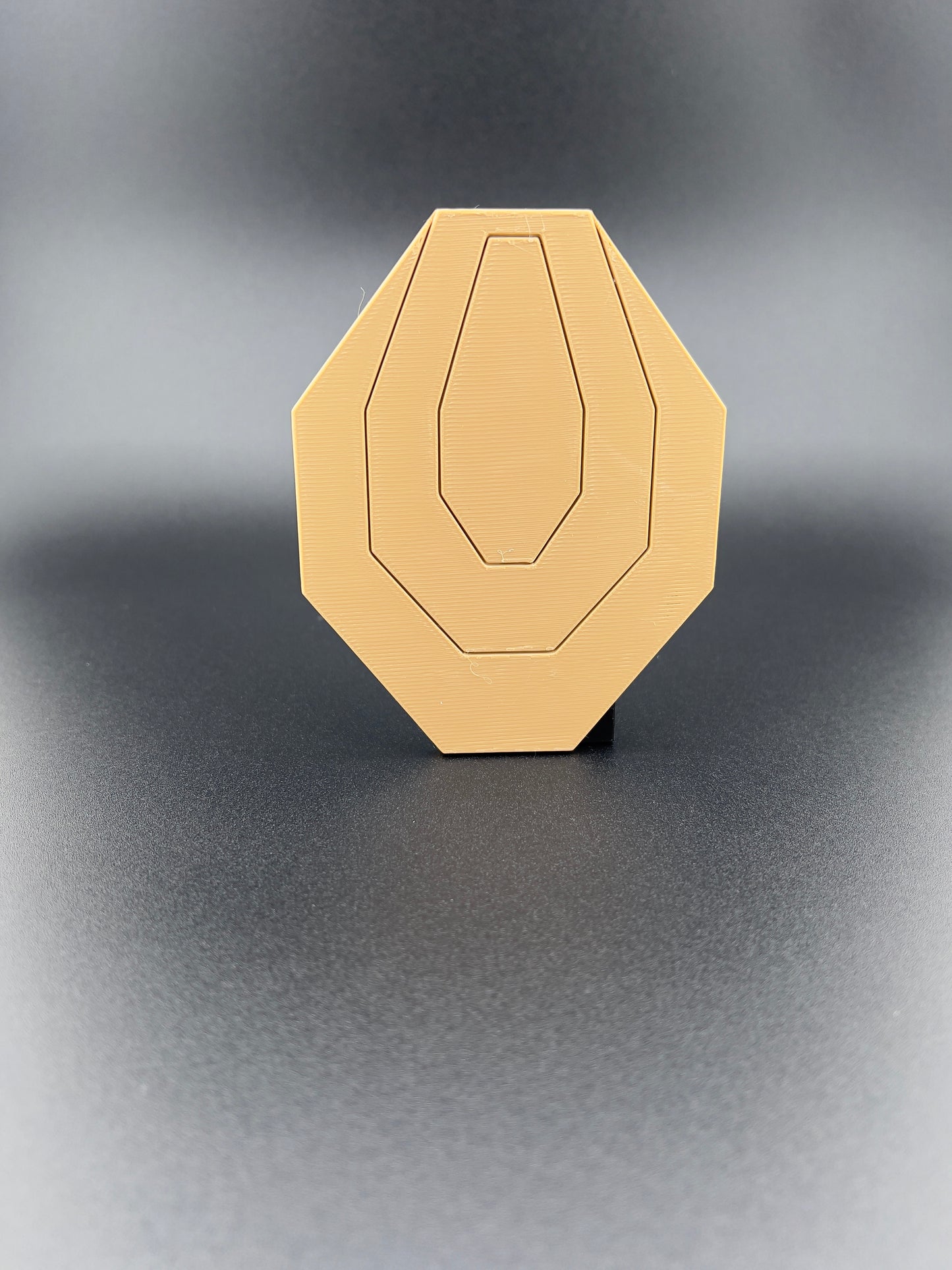 Target Focused IPSC magnetic Dry Fire Kit