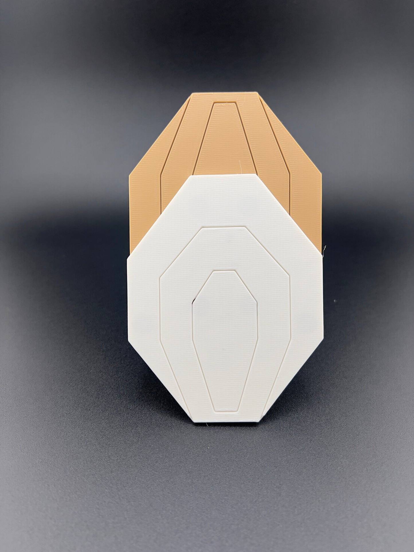 Target Focused IPSC magnetic Dry Fire Kit